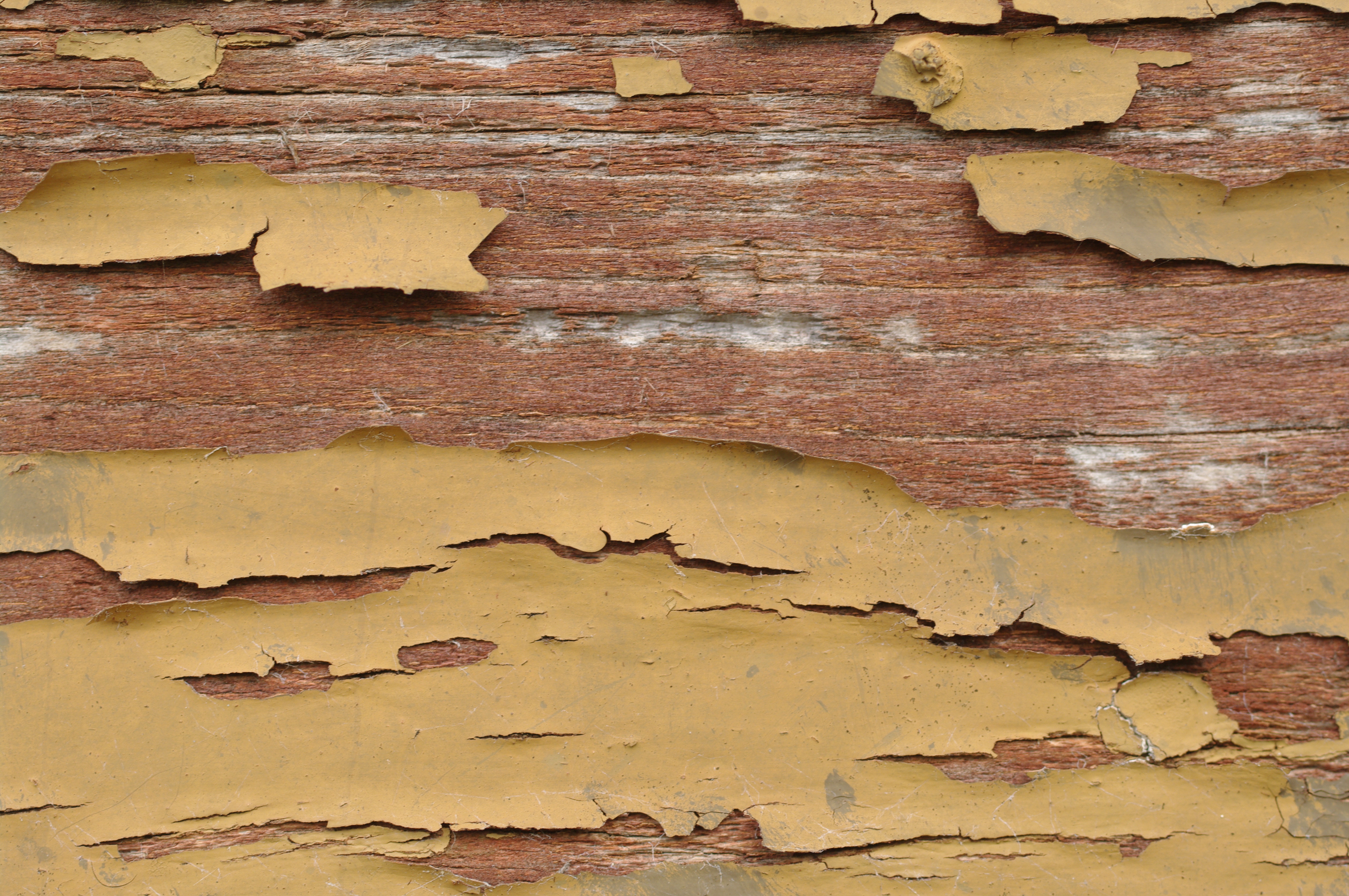Risks of degradation of outdoor wood.